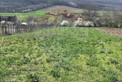 Teren Construcții intravilan de 4486 mp, în Iordăcheanu - 2