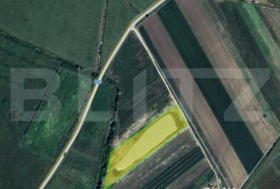 Teren de 8700 mp, în Central