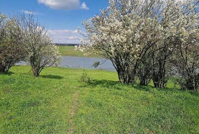 Teren de 3800 mp, în Moșteni