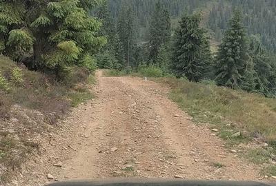 Spațiu comercial, în Poiana Horea - 3