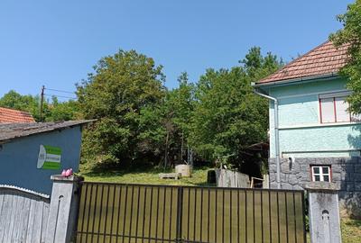 Casa de vanzare in satul Frunzeni, comuna Lunca - 1