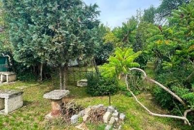 COMISION 0%  - Casa Individuala 100 Mo 733 Mp Teren - 3
