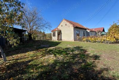 Casa de vanzare + gradina in sat Zagujeni - 4