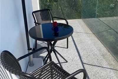 Herastrau, apartament 2 camere, mobilat si utilat modern, garaj - 8