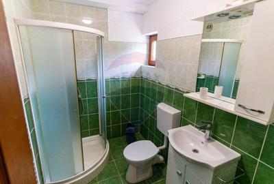 Vila /Pensiune 6 camere in Cristur, jud Hunedoara - 11