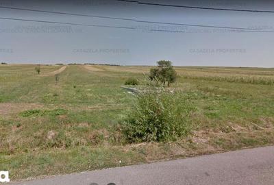 Teren de 3600 mp, în Tarcău - 1