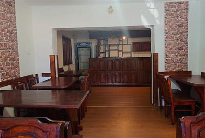Proprietate cu potential in Apuseni - fosta pizzerie, ideala pentru afacere sau - 2