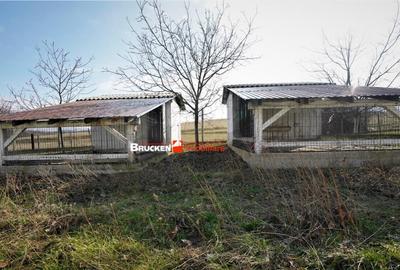 MICRO-FERMA CASA IN VOIVOZI - BIHOR - 29