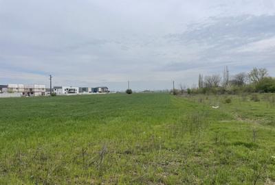 Teren de 11470 mp, în Domnești - 3