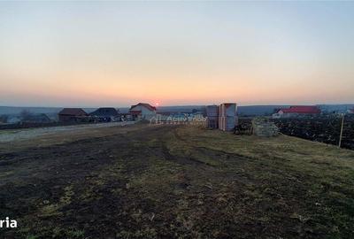 Teren de 895 mp, în Burdujeni - 6