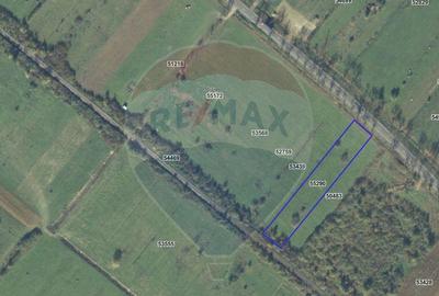 Teren 4,000mp Cicarlau / Strada Principala intravilan - 1