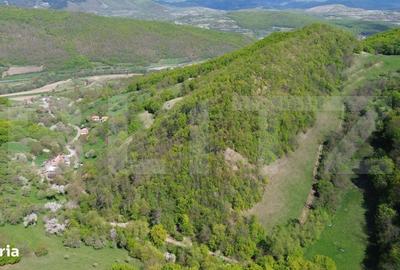 Spațiu comercial, în Pădure - 4
