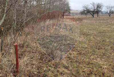 Teren 2925 mp comuna Mitocu Dragomirnei - 22