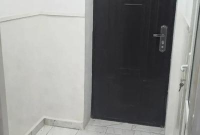 Garsioniera recent renovata - 3