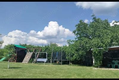 Casa de vanzare 5 camere P+M, Salard - 11