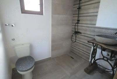 Cabana tradi?ionala - 2