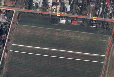 Teren de 4937 mp, în Satu Nou (Lipănești) - 1