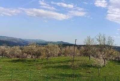 Teren de 2000 mp, în Talea