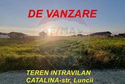 NOU PE PIATA - Teren 3,023mp Catalina - Strada Luncii - 3