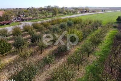 Teren de 1191 mp, în Racovița - 2