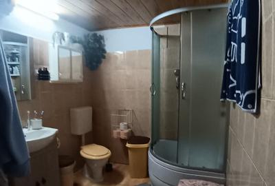 Valea Borcutului, casa 23 ari teren - 5