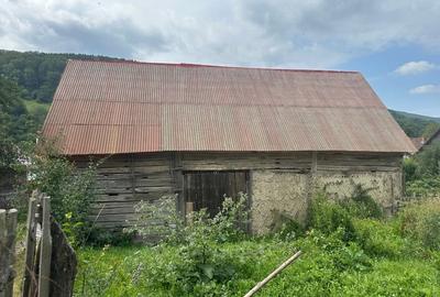 Casă tradițională în Valea Zălanului – acoperiș refacut teren 1.690 m² Casă tradițională în Valea Zălanului – acoperiș refacut teren 1.690 m² - 7