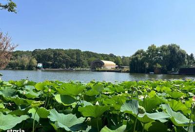 Teren de 4003 mp, în Snagov - 2