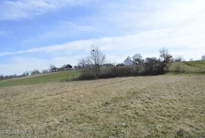 Suseni - Teren intravilan rezidential, suprafata 4000 mp Suseni - Teren intravilan rezidential, suprafata 4000 mp - 5