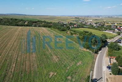 Teren de 7366 mp, în Sărata - 5