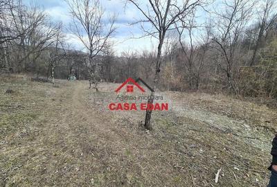 Teren de 3448 mp, în Provița de Jos - 7