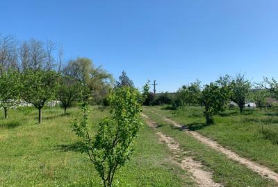 FERMĂ - LA DN3 - 10.680 MP/84 M DESCHIDERE - UTILITĂȚI - 22