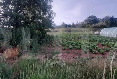 Casa de vanzare Cri?telec - 6