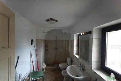 Super afacere pentru investitori compusa din teren intravilan cat vezi cu ochii - 16