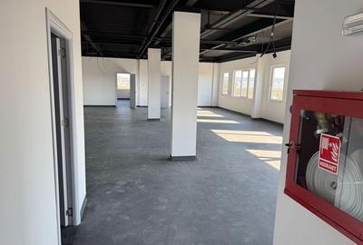 Spatiu depozitare si productie Otopeni - 5
