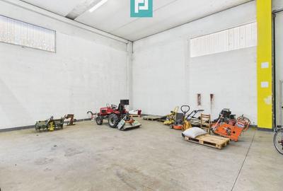 Hală de producție, cu birouri și teren, în Sebiș - 24