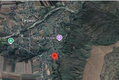 Teren intravilan cota parte 1/4 Tarpesti, ID: R2327012 - 3