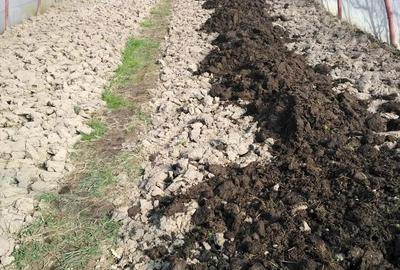 Casă cu 4 camere în Petid - 9