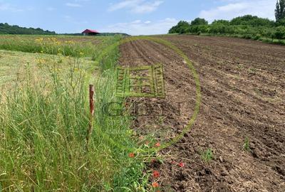 Teren intravilan | 5100 mp | zona Gusterita - 3