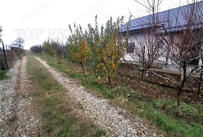 Teren Intravilan Moara Vlasiei 963 mp, Zona Superba, - 5