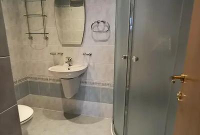 Apartament cu 3 camere decomandat, mobilat în Herăstrău - 12