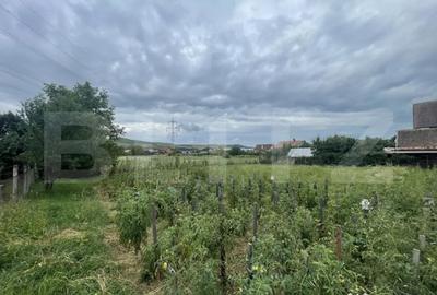 Teren de 1000 mp, în Viișoara - 1
