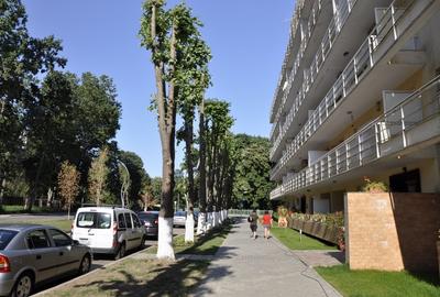 Apartament cu 2 camere decomandat, mobilat în Central - 1