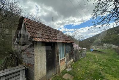 Casă cu 4 camere cu Teren 12186 Mp în Central - 14