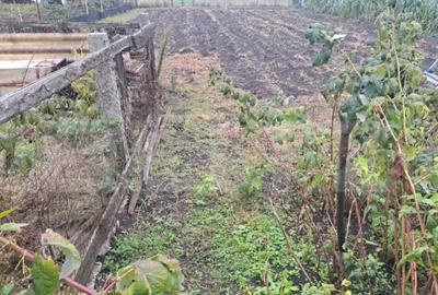 Casă cu 3 camere cu Canalizare în Hălchiu - 6