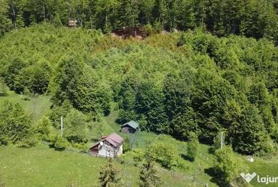 Casă cu 3 camere cu Teren 1614 Mp în Sita Buzăului - 16