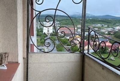 Apartament cu 3 camere decomandat în Tolstoi - 4