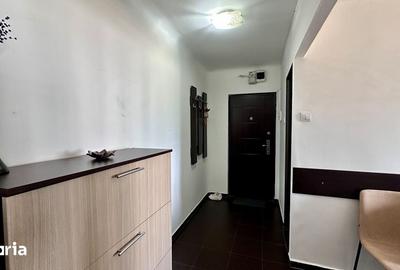 Garsonieră decomandată în Brazda lui Novac - 3