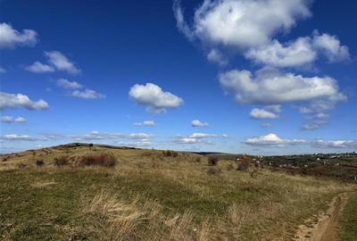 Comision 0% Oportunitate investitie teren extravilan  Salicea - 3