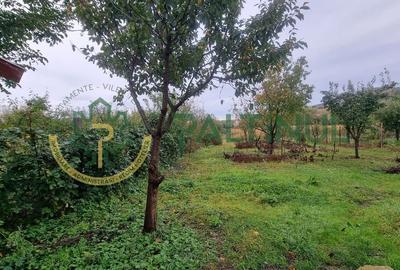 Casă singur în curte, 1.310 mp teren - Gusterița, garaj, pivniță, grădină Casă singur în curte, 1.310 mp teren - Gusterița, garaj, pivniță, grădină - 5