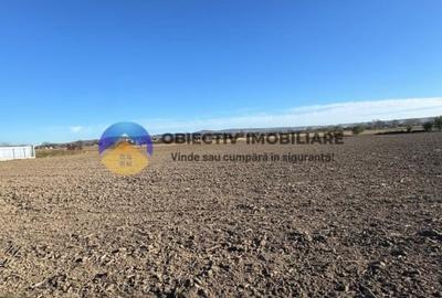 Casa Bodesti, jud. Neamt - 15